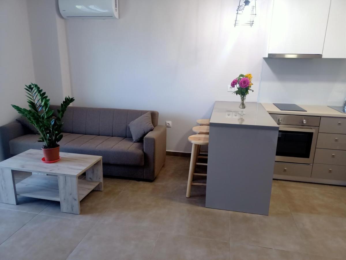 Almiriki Studios & Apartments Alykes  Dış mekan fotoğraf
